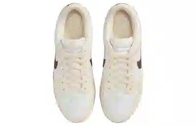 Nike Dunk Low White Beige Brown