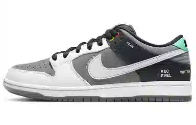 Nike Dunk SB Pro ISO "VX1000 Camcorder"