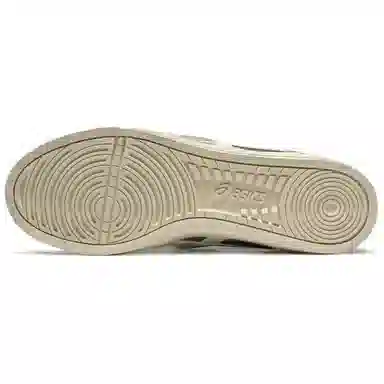 Asics Aaron 2.0 Silver