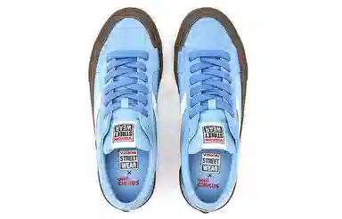 oddCIRKUS x Vision Street Wear Astley Pro