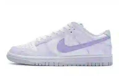 Nike Dunk Low 811