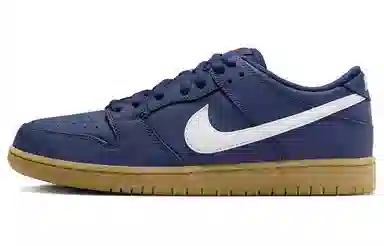 Nike Dunk SB Low Blue