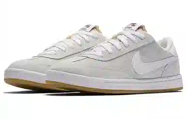 Nike SB FC Classic Grey White