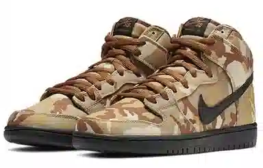 Nike Dunk SB Camo