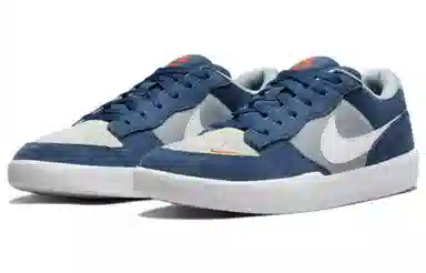 Nike SB Force 58 Grey Blue