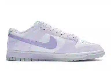 Nike Dunk Low 811