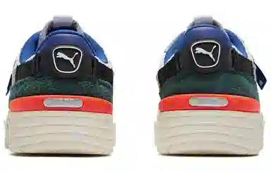 PUMA Cgr Ader Error