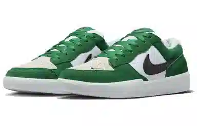 Nike SB Force 58 White Green