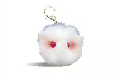 Nike Court Borough Low GS