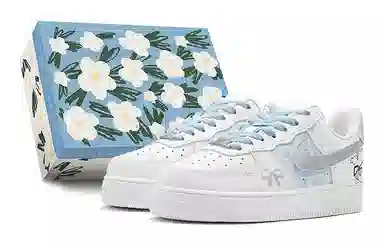 Nike Air Force 1 520