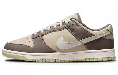 Nike Dunk Low "Velcro Tongue" Brown