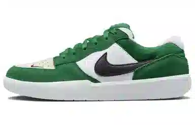 Nike SB Force 58 White Green