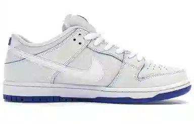 Nike Dunk SB PRM White Blue