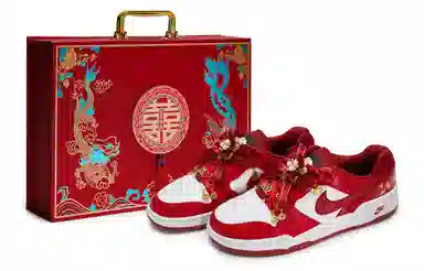 Nike Full Force Low 811