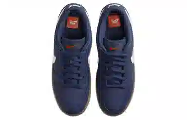 Nike Dunk SB Low Blue