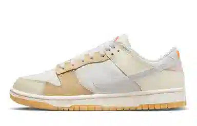 Nike Dunk FZBB