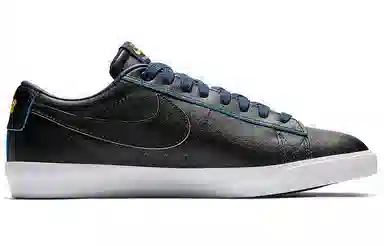 Nike SB Bruin Low Warriors