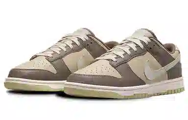 Nike Dunk Low "Velcro Tongue" Brown