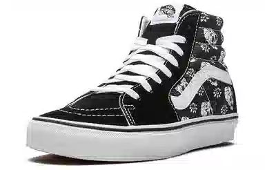 Vans SK8 Skull Floral High-Top