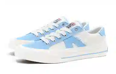 Vision Street Wear V76