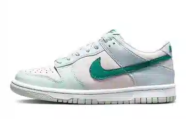 Nike Dunk Low 811