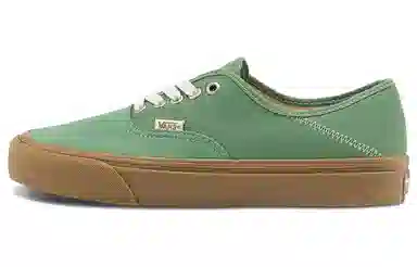 Vans Authentic Salt Wash Vr3 Sf