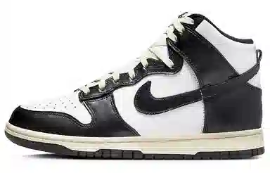 Nike Dunk "Vintage Black"