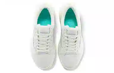 Vans Overt CC Old Overt Plus