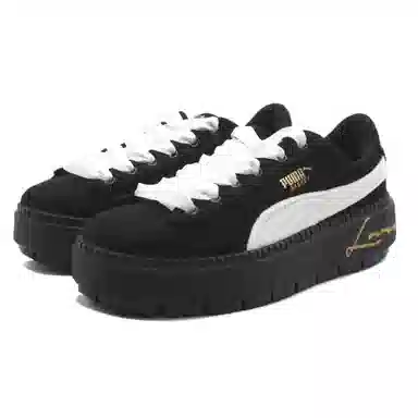 PUMA Platform Trace