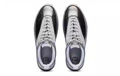 EQLZ Fault 22 Lo Silver