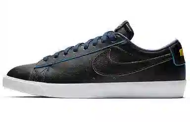 Nike SB Bruin Low Warriors