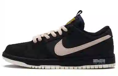 Nike Dunk SB "Pink Hole"