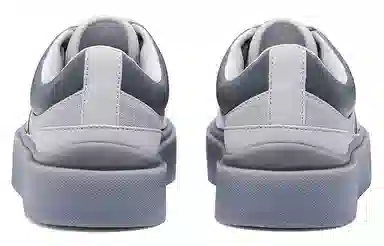 EQLZ Fault 22 Lo Silver