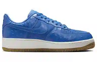 Nike Air Force 1 "Blue Ostrich"