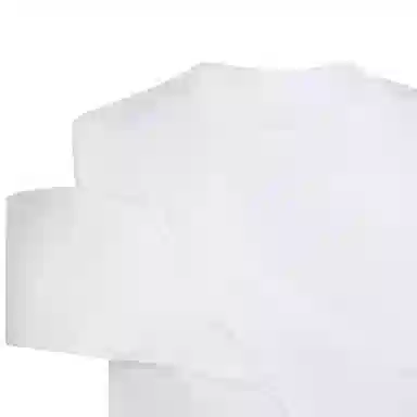 Alexander McQueen SS23 T