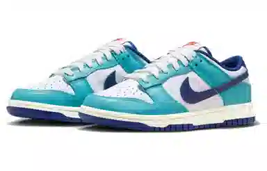Nike Dunk Low Blue White