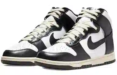 Nike Dunk "Vintage Black"