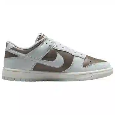 Nike Dunk Low Brown Grey