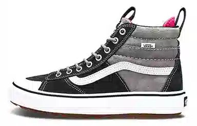 Vans SK8 MTE 2.0 DX