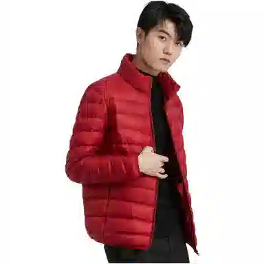 鸭鸭 纯色立领拉链休闲薄款羽绒服 男款
