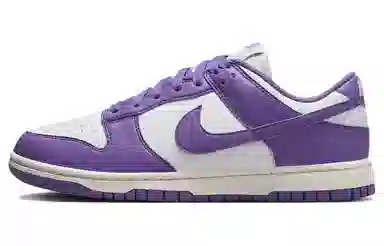 Nike Dunk Low Next Nature Purple White