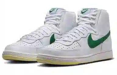 Nike Terminator High White Green