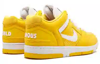 Supreme x Nike Air Force 2 SB Low