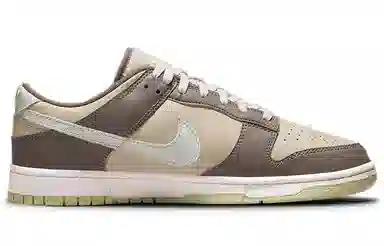 Nike Dunk Low "Velcro Tongue" Brown