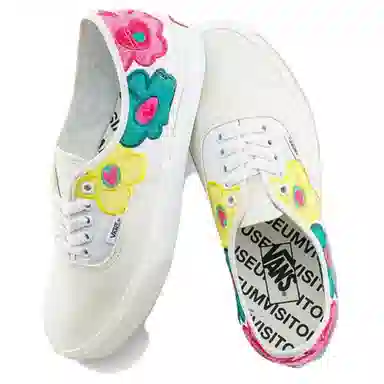 The Museum Visitor x Vans Authentic