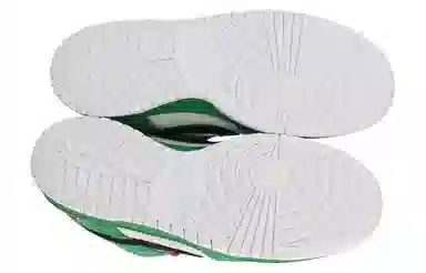 Nike Dunk SB Heineken