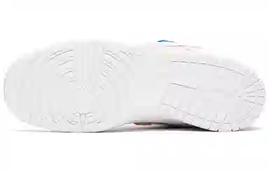 Parra x Nike Dunk SB