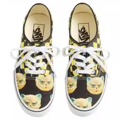 Valentino x Vans Authentic