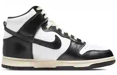 Nike Dunk "Vintage Black"