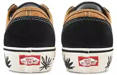 Vans Style 36 SF Brown